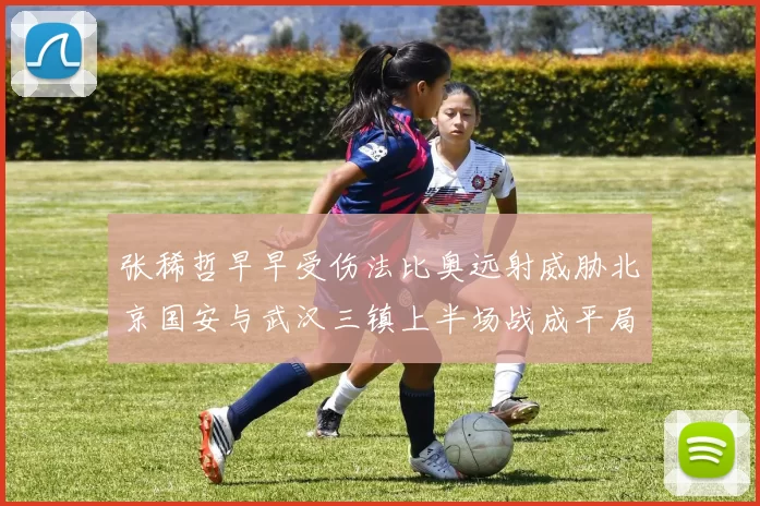 张稀哲早早受伤法比奥远射威胁北京国安与武汉三镇上半场战成平局
