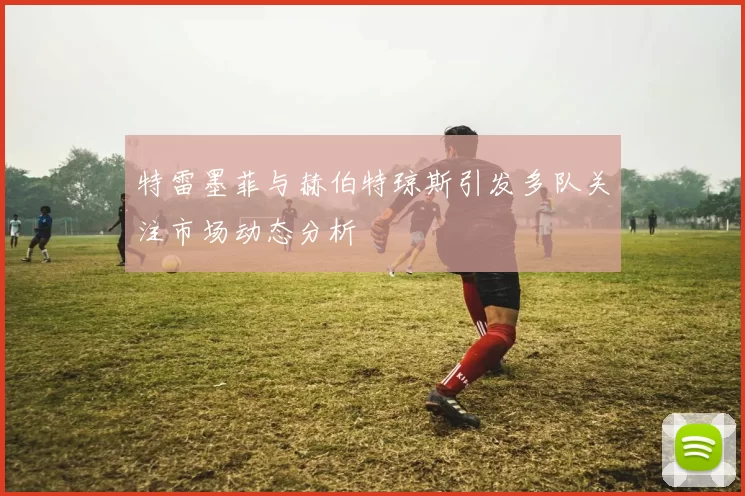 特雷墨菲与赫伯特琼斯引发多队关注市场动态分析