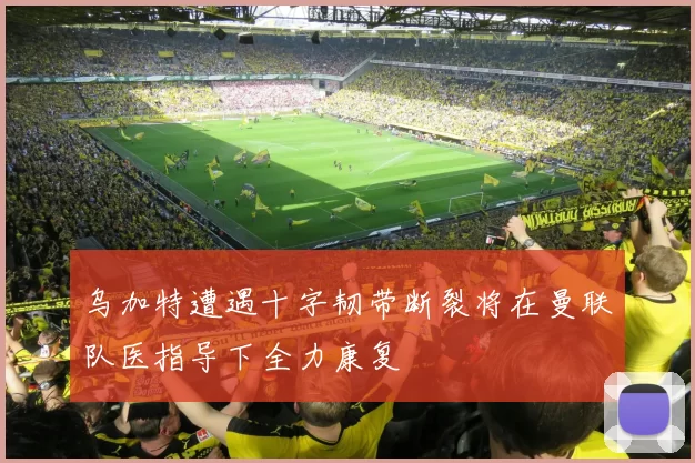 乌加特遭遇十字韧带断裂将在曼联队医指导下全力康复