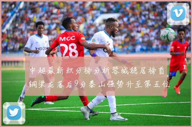 中超最新积分榜分析蓉城稳居榜首铜梁龙落后9分泰山强势升至第五位津门虎积分清零